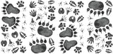 Roommates Animal Tracks Peel And Stick Wall Decals