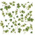 Evergreen Ivy Peel & Stick Wall Decals Country Kitchen Decor Green Leaves Border Vines