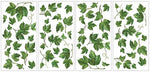 Evergreen Ivy Peel & Stick Wall Decals Country Kitchen Decor Green Leaves Border Vines