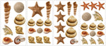 SEA SHELLS Wall Stickers 41 Decals beach ocean starfish bathroom room decor - EonShoppee