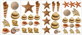 SEA SHELLS Wall Stickers 41 Decals beach ocean starfish bathroom room decor - EonShoppee