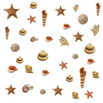 SEA SHELLS Wall Stickers 41 Decals beach ocean starfish bathroom room decor - EonShoppee