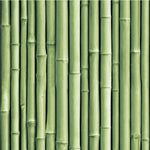 Bamboo Peel & Stick Wallpaper - EonShoppee