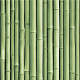 Bamboo Peel & Stick Wallpaper - EonShoppee