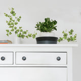 Evergreen Ivy Peel & Stick 38 Wall Decals Country Kitchen Decor Green Leaves Border Vines - EonShoppee