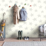 Star- Grey Peel & Stick Wallpaper - EonShoppee