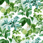 Rainforest Green Leaves Peel & Stick Wallpaper - EonShoppee