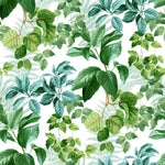 Rainforest Green Leaves Peel & Stick Wallpaper - EonShoppee