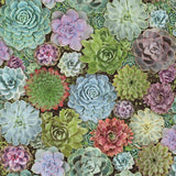 Succulents Peel & Stick Wallpaper - EonShoppee