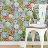 Succulents Peel & Stick Wallpaper - EonShoppee
