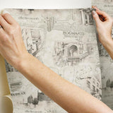 Harry Potter Map Peel & Stick Wallpaper - EonShoppee