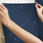 RoomMates Upon A Star Peel & Stick Wallpaper - EonShoppee