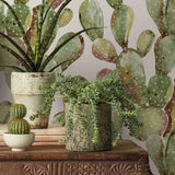 Prickly Pear Cactus Peel & Stick Wallpaper - EonShoppee