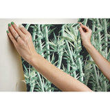 Lucky Bamboo Peel & Stick Wallpaper - EonShoppee