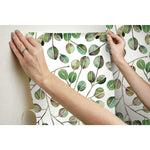Cat Coquillette Eucalyptus Peel & Stick Wallpaper - EonShoppee