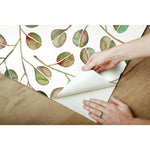 Cat Coquillette Eucalyptus Peel & Stick Wallpaper - EonShoppee