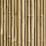 Bamboo Peel & Stick Wallpaper - EonShoppee