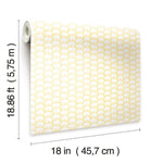 RoomMates Elefantti Peel & Stick Wallpaper - EonShoppee