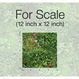 RoomMates Living Wall Peel & Stick Wallpaper - EonShoppee