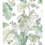 RoomMates Boho Palm Peel & Stick Wallpaper - EonShoppee