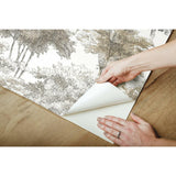 RoomMates Old World Trees Peel & Stick Wallpaper - EonShoppee