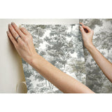 RoomMates Old World Trees Peel & Stick Wallpaper - EonShoppee