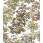 RoomMates Old World Trees Peel & Stick Wallpaper - EonShoppee