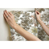 RoomMates Old World Trees Peel & Stick Wallpaper - EonShoppee