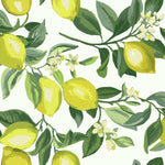 RoomMates Lemon Zest Peel & Stick Wallpaper - EonShoppee