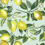 RoomMates Lemon Zest Peel & Stick Wallpaper - EonShoppee