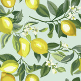 RoomMates Lemon Zest Peel & Stick Wallpaper - EonShoppee