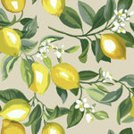 RoomMates Lemon Zest Peel & Stick Wallpaper - EonShoppee