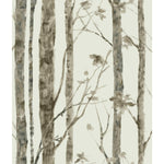 RoomMates Trees Peel & Stick Wallpaper - EonShoppee