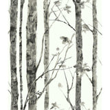 RoomMates Trees Peel & Stick Wallpaper - EonShoppee