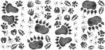 Roommates Animal Tracks Peel And Stick Wall Decals