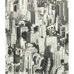 Big Apple Peel & Stick Wallpaper - EonShoppee