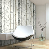 Birch Trees Peel And Stick Wallpaper - EonShoppee