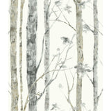 Birch Trees Peel And Stick Wallpaper - EonShoppee