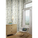 Birch Trees Peel And Stick Wallpaper - EonShoppee