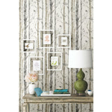 Birch Trees Peel And Stick Wallpaper - EonShoppee