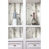 Birch Trees Peel And Stick Wallpaper - EonShoppee